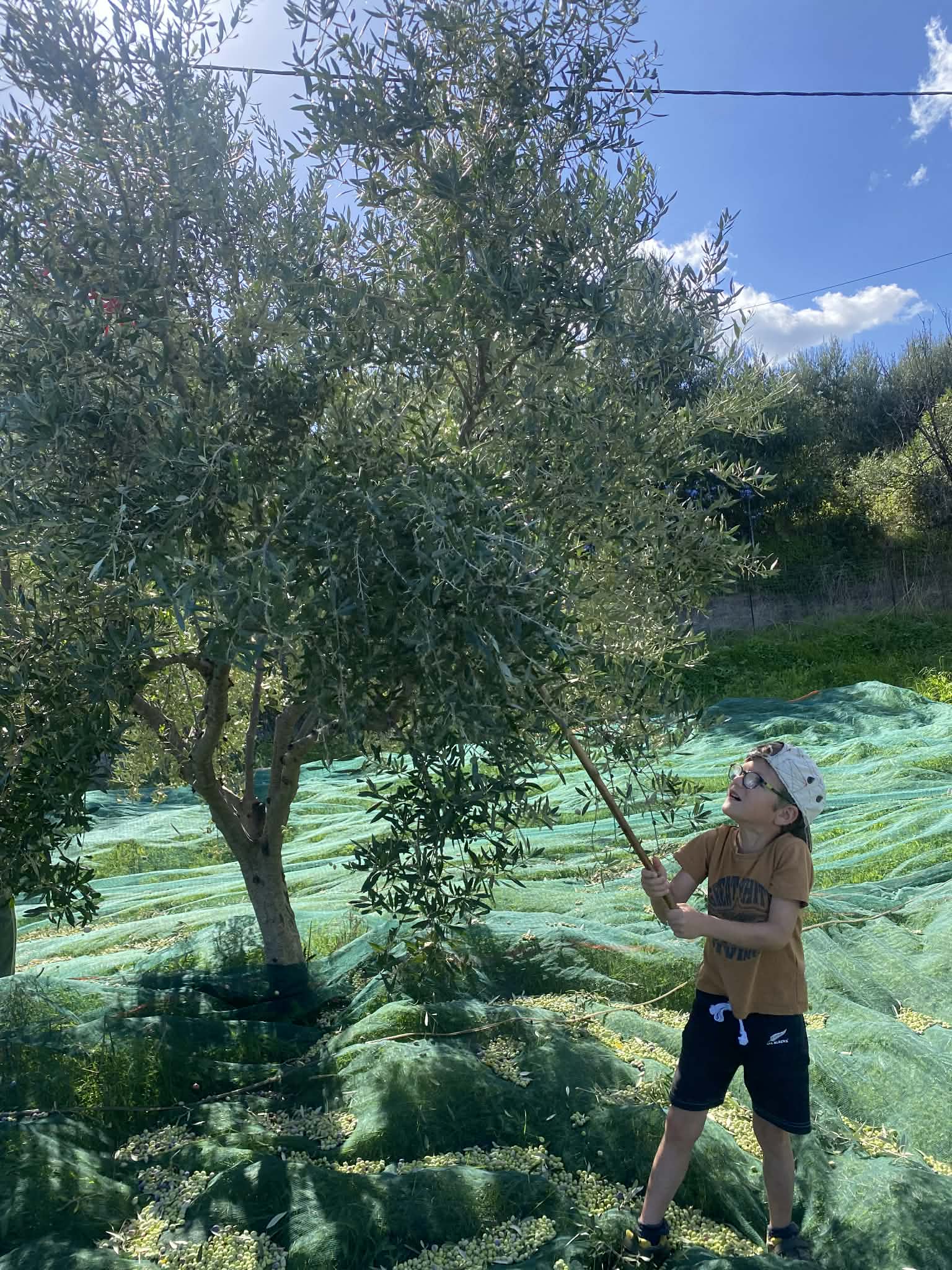 att.3y7p50XemKjIGqER2xdSp0af6eTXx0hjhydNvYF_-kk