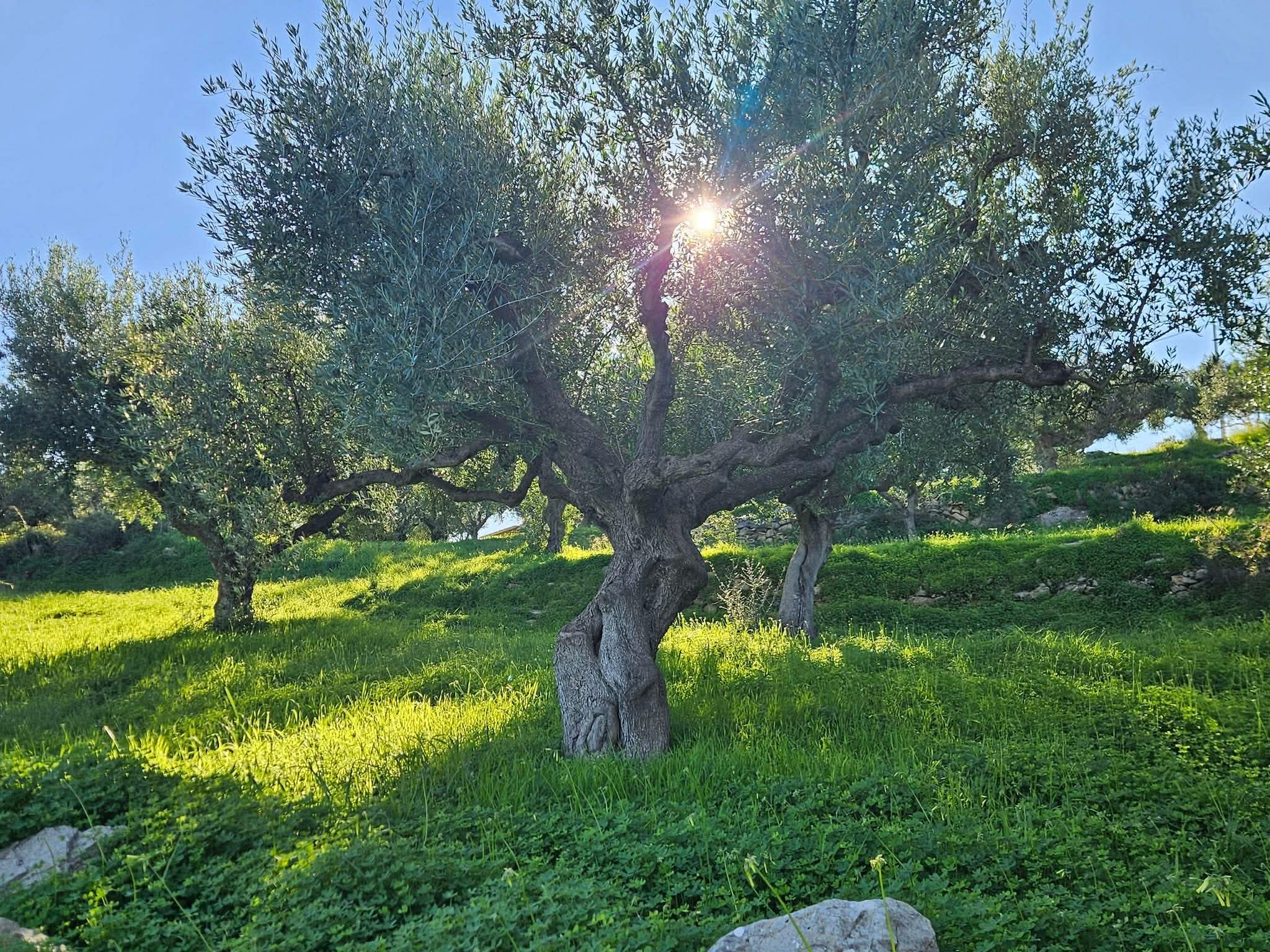 att.5uqisoirVQ3ex05y_cotmvAdBBJMRjUFlqSlL33gs04