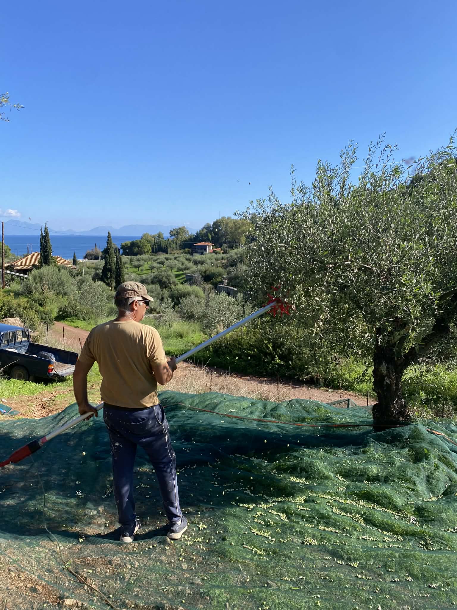 att.6UHxveVUg8QVcdoS1QPLyTKUeWzfDMeg32XmwPu6bno