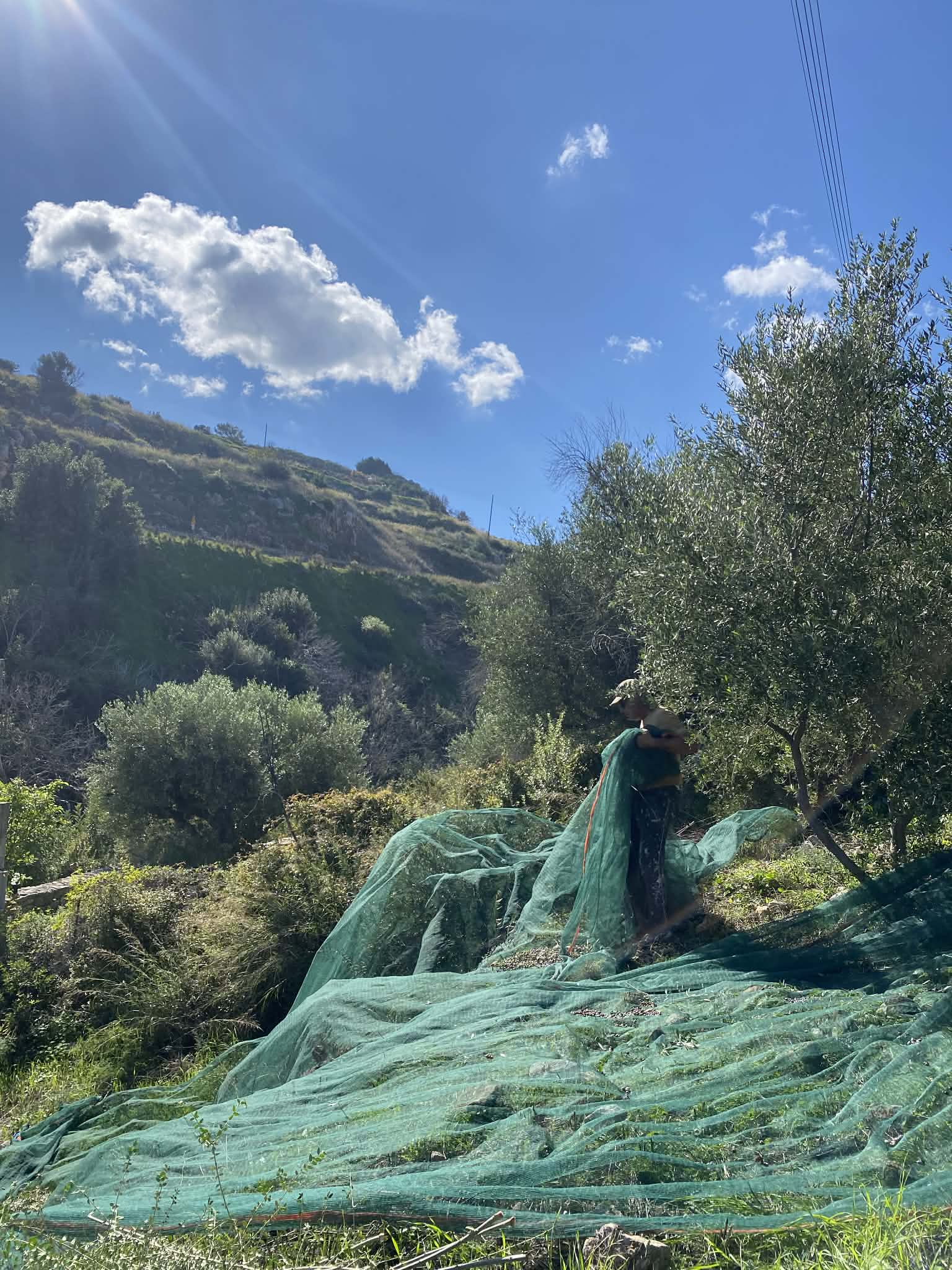 att.7FwXZcKlCCn4HrVz4YpgvlndeDnCiJb_Sq7WNXjQmmc