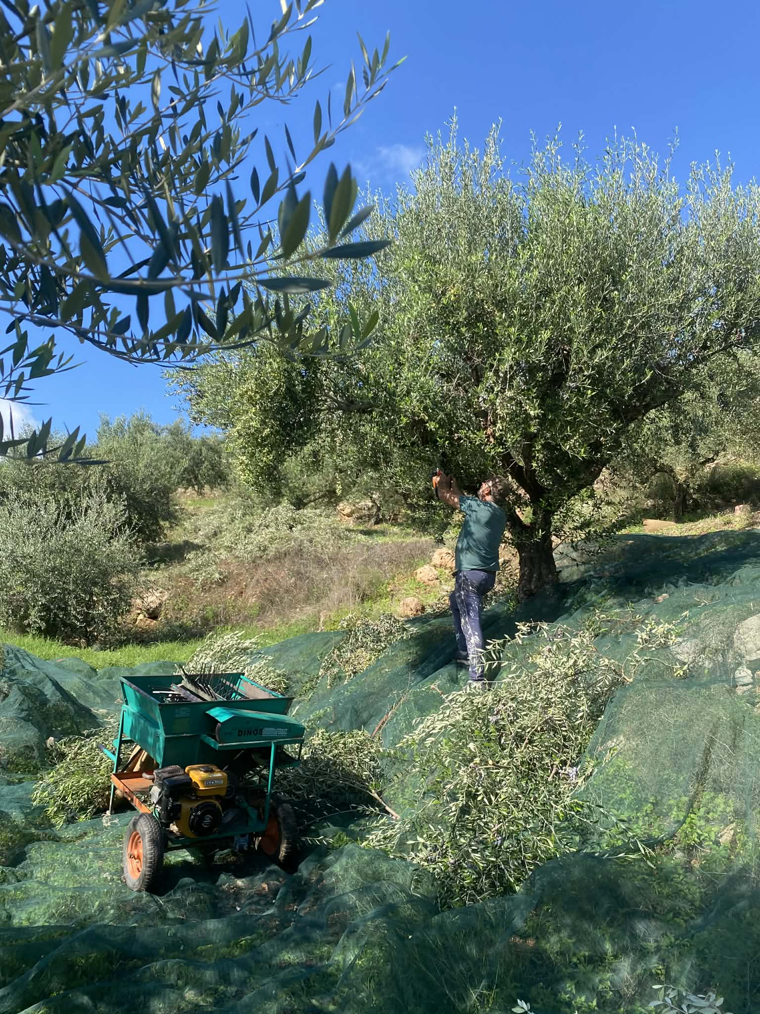 att.HaCDftIAWdy74LaeuI-XVQ1DlooLeWx_TApAXQR1KiI