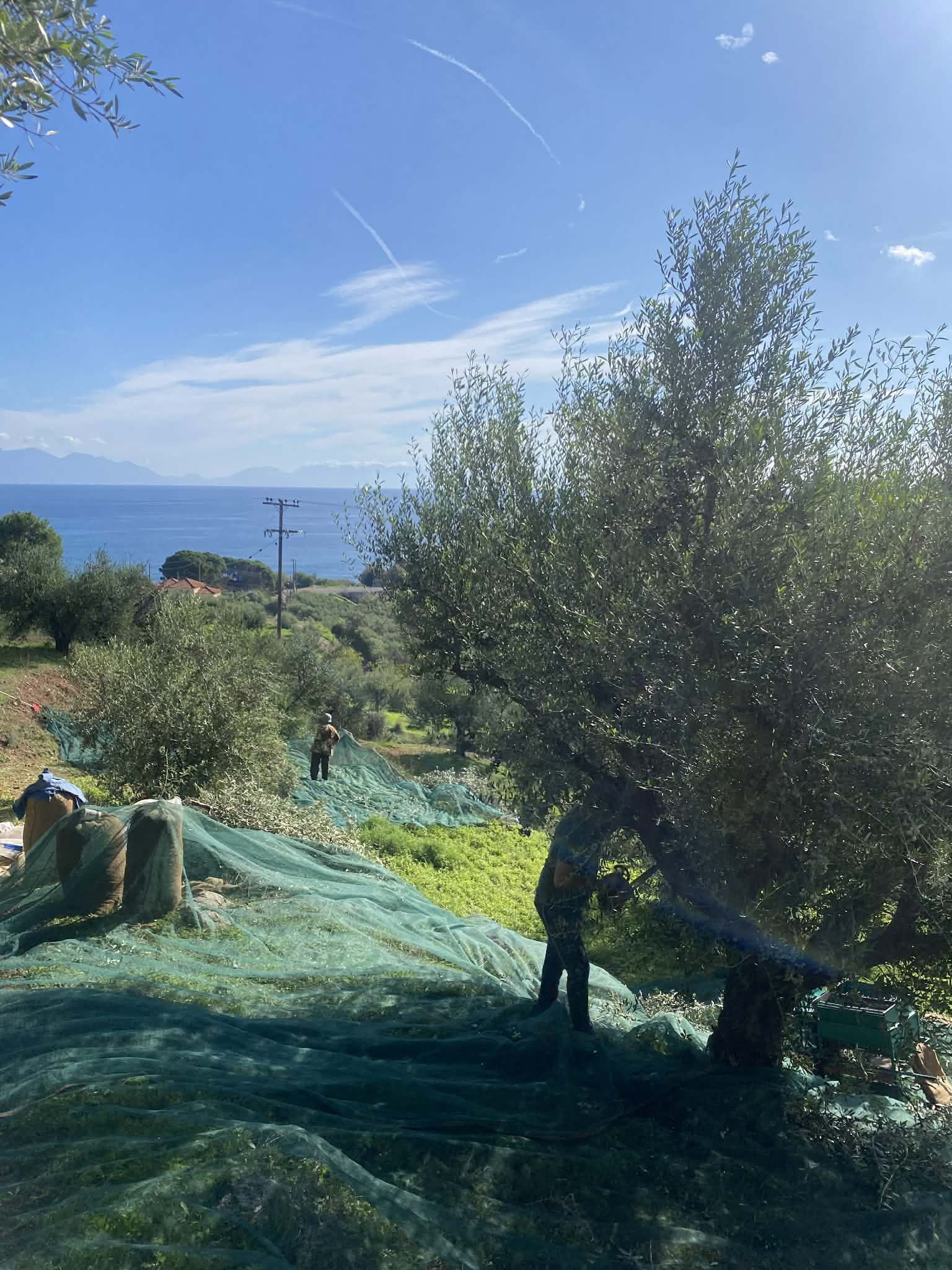 att.bijWBJWzpmne0D2Y9tVVwzC7w6VJ_lDUaNYZ_A_Jz1k