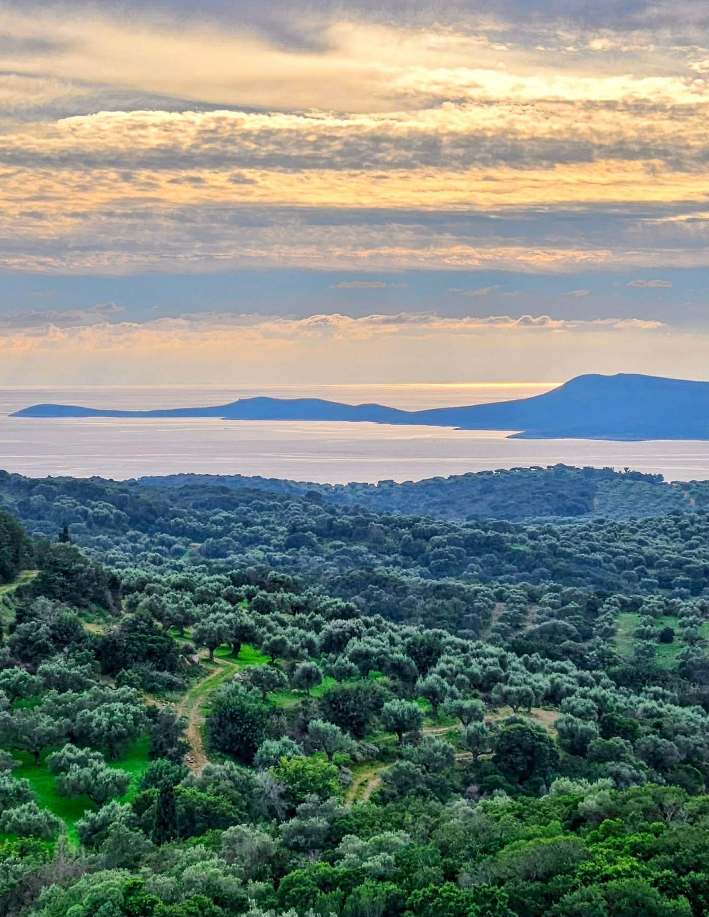 att.pRfQnIPBW0DPhFQK411vfU9113CEXJtP-wyztR4wFfA