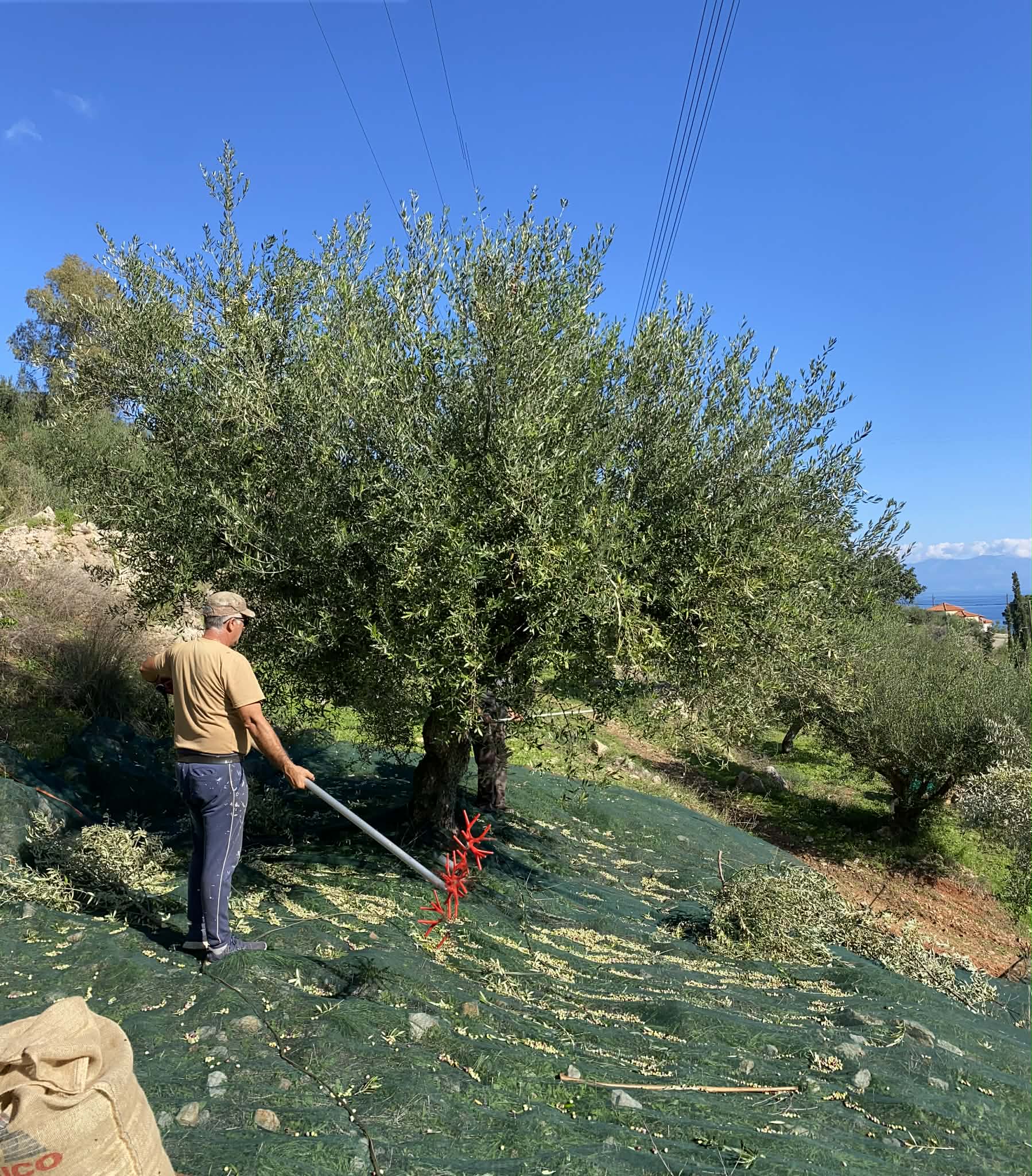 att.pa6w_uEhD3T2l-Se2XUru6YD_PLBiiny38lBQzht9e4