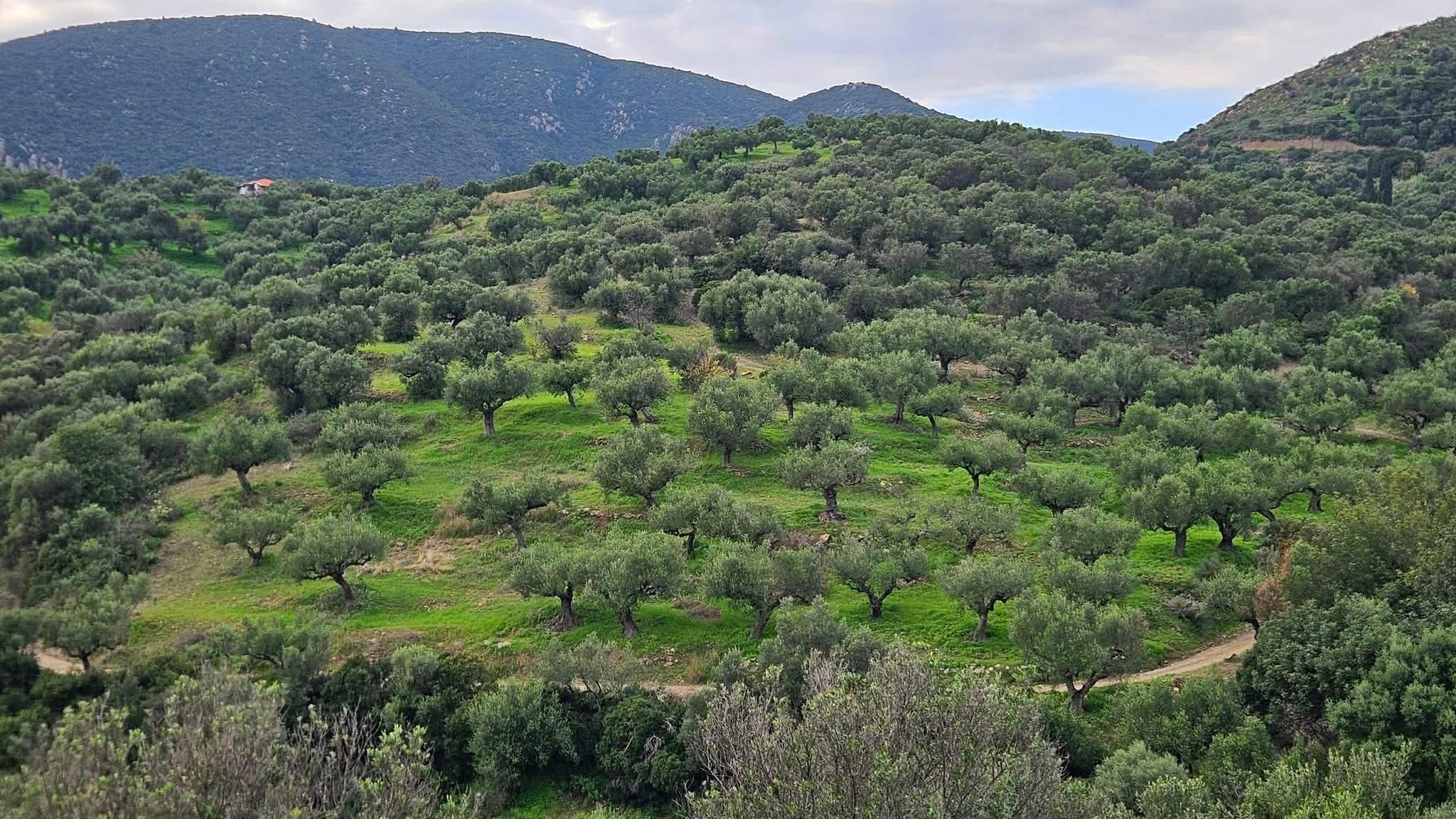 att.zZmv56crOdVysxIKTmXQNOgV3BueNTfIPw_GCchVCl4